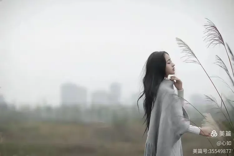 人生不过梦一场